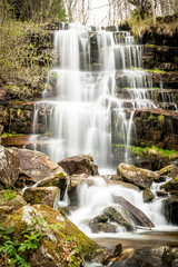 waterfall in the forest