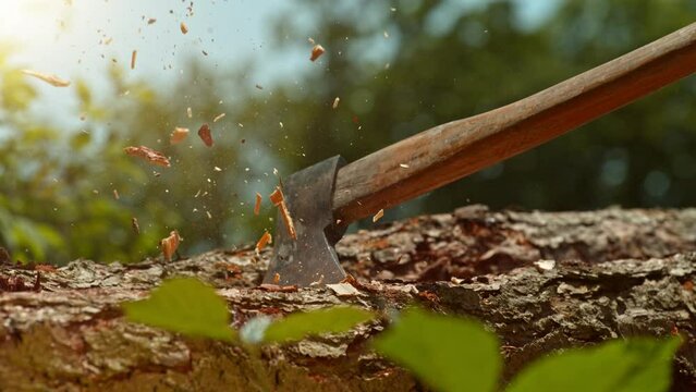 Super Slow Motion of Chopping Wooden logs With Axe. Filmed on High sSpeed Cinema Camera, 1000 fps. Lumberjack Working in Forest.