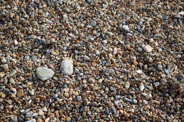Pebbles on Brighton Beach, United Kingdom