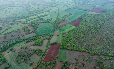 aerial photo at sunrise in the forest