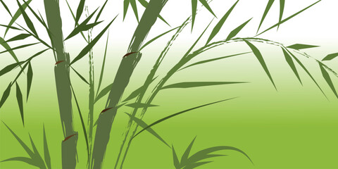 design of chinese bamboo trees, vector illustration