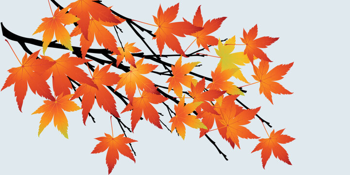 Abstract tree with autumn leaves vector illustration