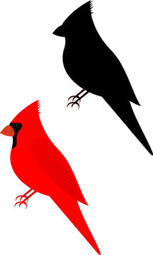 Set of two cardinal birds