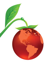 Earth fruit illustration