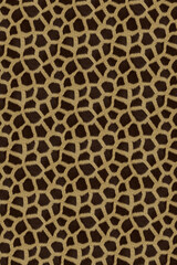 african animal fur skin pattern surface texture backdrop