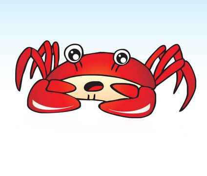 Lovely funny Red Sea Crab