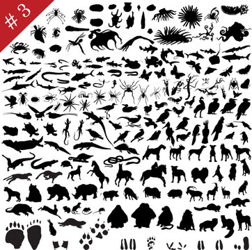 # 3 set of  different animals, birds, insects and fishes  vector silhouettes
