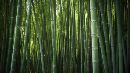 Dense bamboo forest by generative AI