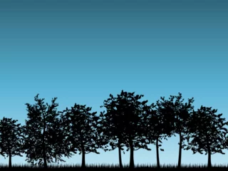 Gordijnen Silhouettes of tree landscapes © Designpics