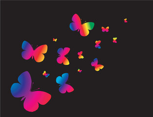 colourful butterflys on a black background. Vector