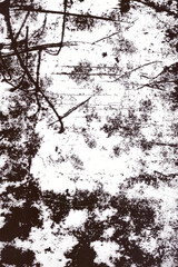 grunge structure texture wallpaper backdrop background overlay