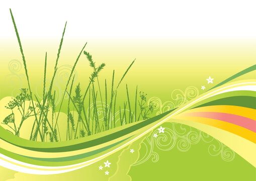 grass, flowers and abstract lines background / vector illustration Layers are separated! A4/ vector cmyk