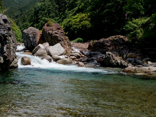 大芦川での渓流釣り