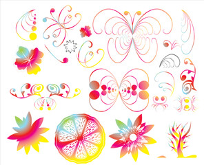 Floral and butterflies design elements
