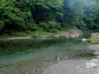 大芦川での渓流釣り