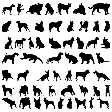 Set # 1 of different vector pets silhouettes for design use
