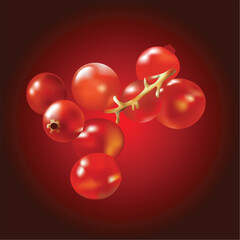 currant, this illustration may be usefull as designer work.