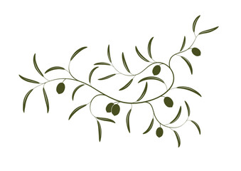 Vector illustration of simple Olive branch three with green olives