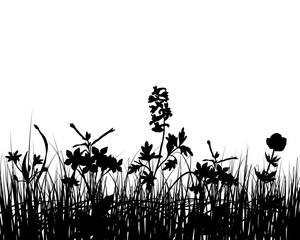 Vector grass silhouettes background for design use