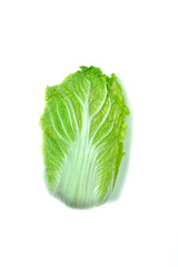 Cabbage. Fresh green leafy vegetables.  Isolated. On a white background. Top view photograph