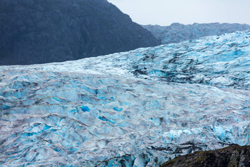 Mendhall Glacier Alaska