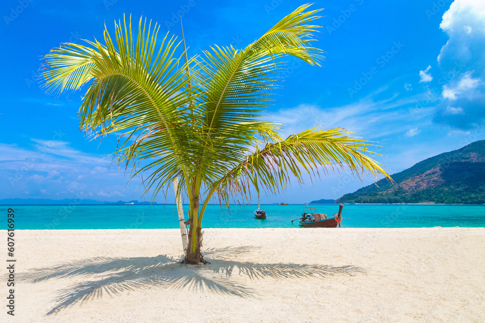 Sticker Single palm tree on beach