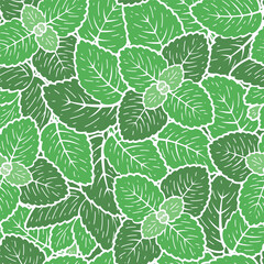 Green Peppermint Leaves Seamless Vector Pattern. Floral Background with Fresh Mint Leaf. Medicinal Plants and Spicy Herbs.