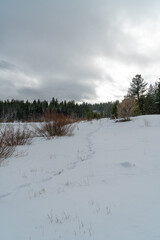 Shot of the snow around Spooner Lake in Lake Tahoe