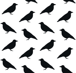Vector seamless pattern of hand drawn doodle sketch black catbird bird isolated on white background