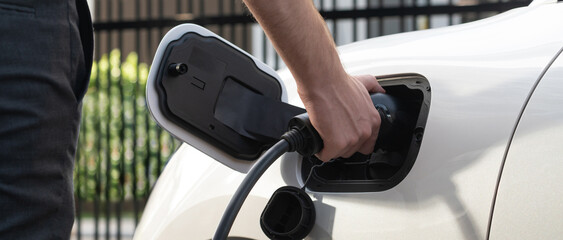 Closeup progressive man holding EV charger plug from public charging station for electric vehicle...