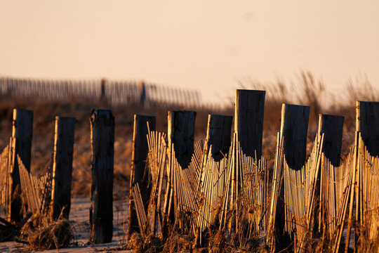 Warm sunlight on wooden posts and sand fences 