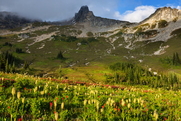 Mountains in Washington