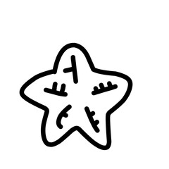 Fototapeta premium Hand Drawn Summer Doodles, beach party, vacation and travel doodle elements. Tropical leaves, fruits and cocktails sketches, cute summertime line stickers vector 