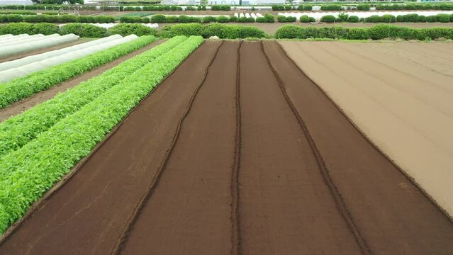 農業と自然の風景を表現しています。農業は、私たちの生活に欠かせないものです。農業によって、私たちは食料を得ることができます。また、農業は、私たちの生活環境を支えています。農業は、自然と共存しながら、私たちの生活を豊かにしてくれます。