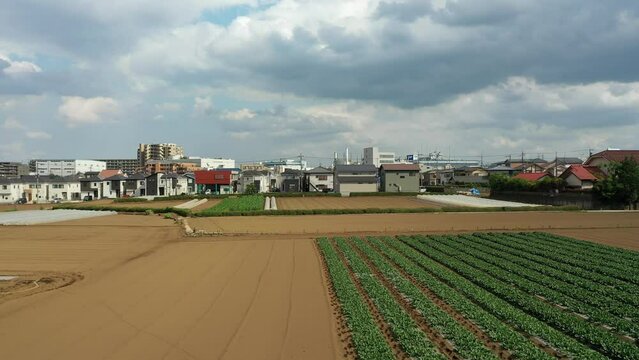 農業と自然の風景を表現しています。農業は、私たちの生活に欠かせないものです。農業によって、私たちは食料を得ることができます。また、農業は、私たちの生活環境を支えています。農業は、自然と共存しながら、私たちの生活を豊かにしてくれます。