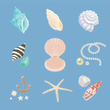 marin&shells/海&貝殻セット © 祐子 島田