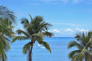 Fototapeta na wymiar Palm trees on the beach at Waikiki in Honolulu, Hawaii, with surfers on a beautiful tropical day.