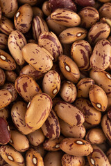 Raw pink beans close-up. Protein protein. Vertical photo.