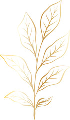 leaf gold png file minimal design