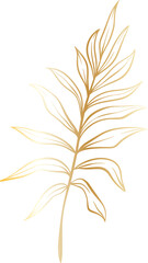 Fototapeta na wymiar leaf gold png file minimal design