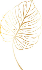 leaf gold png file minimal design monstera