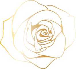 leaf gold png file minimal design