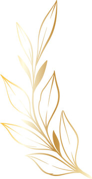 leaf gold png file minimal design