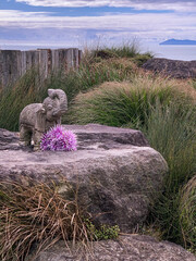 Elephant statue and flower, Waihi Beach, New Zealand