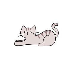 Gray cat