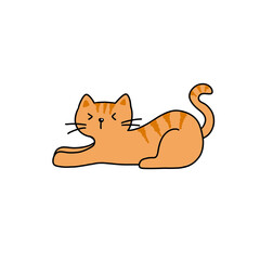 Orange cat