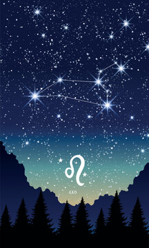 Leo zodiac sign, horoscope constellation in the night sky, vertical landscape template for stories. Template for astrology, fortune teller, astronomical calendar. Modern vector illustration.