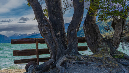 A log bench stands by the shore of the emerald lake. Ahead, against the blue sky- a mountain range. In the foreground- trunks and exposed tree roots. Argentina. Lago Roca. Tierra del Fuego