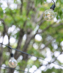 Garland light bulbs hanging from the trees on the promenade. incandescent light bulb