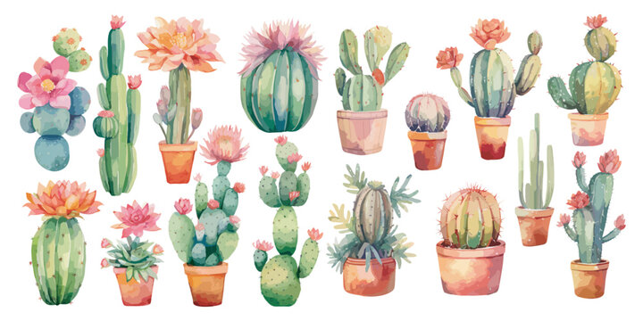 watercolor cactus clipart for graphic resources
